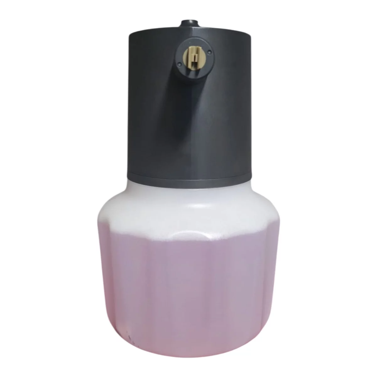 Elektrischer Schaumsprüher Eurodet 2L - Akku Foam Sprayer